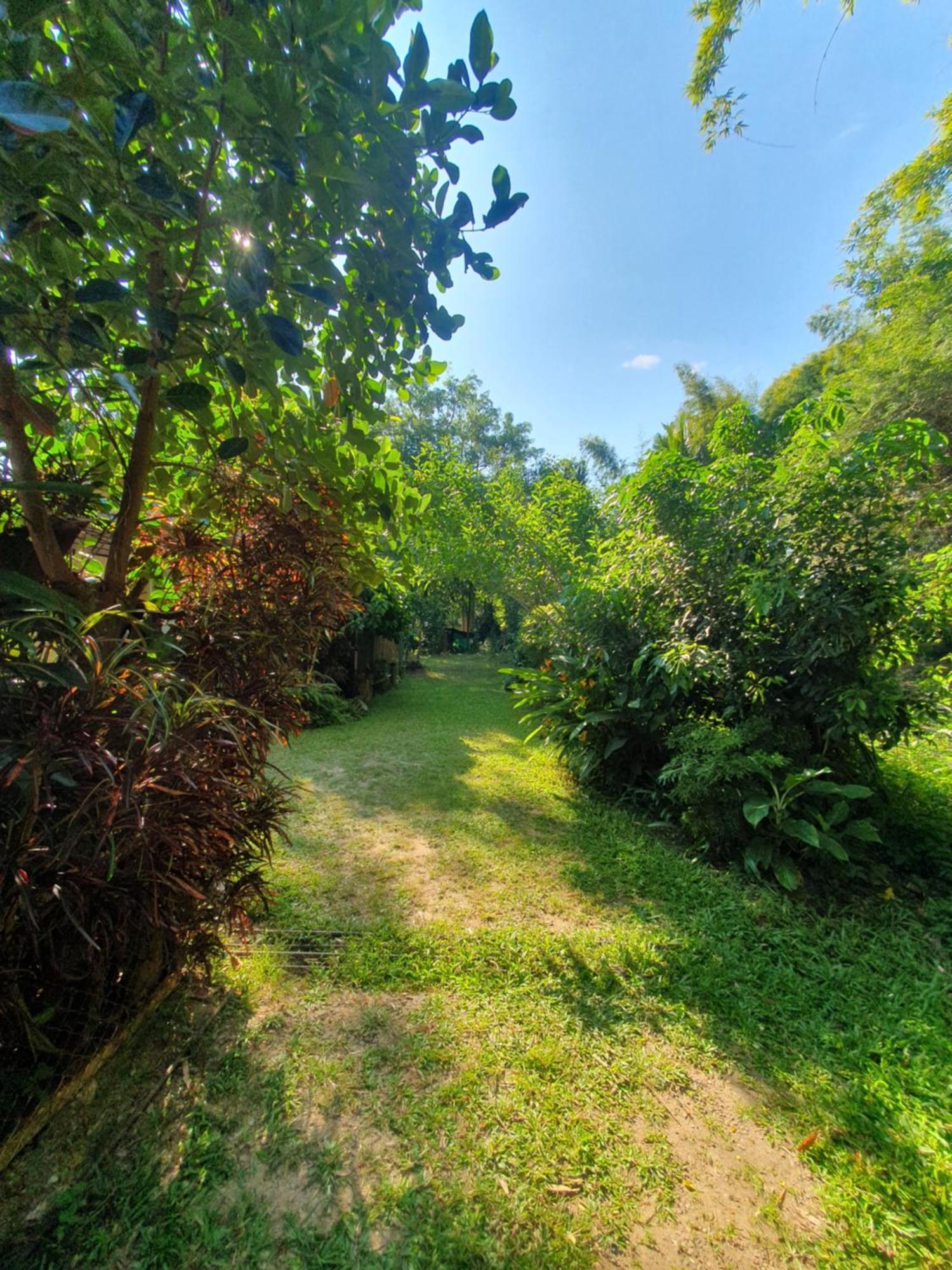 Mind'S Homestay มายด์โฮมสเตย์ Kampong Huaibu 외부 사진